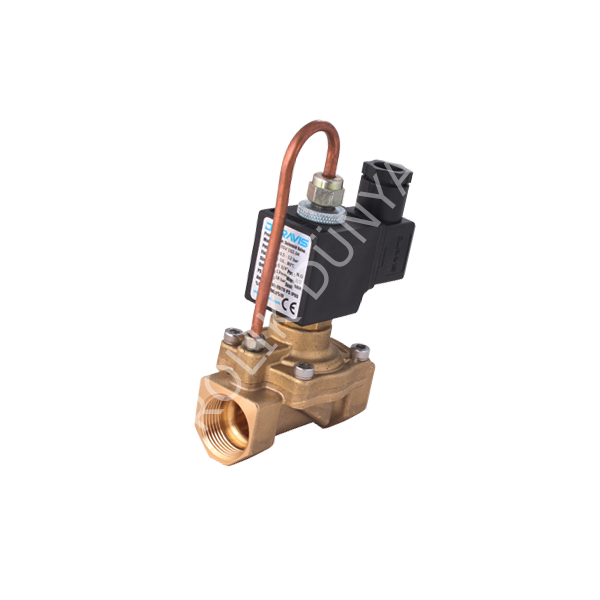 ESV-102 Serisi - Pilot Kumandalı 2/2 Yollu 3/8''...1'' Solenoid Valfler
