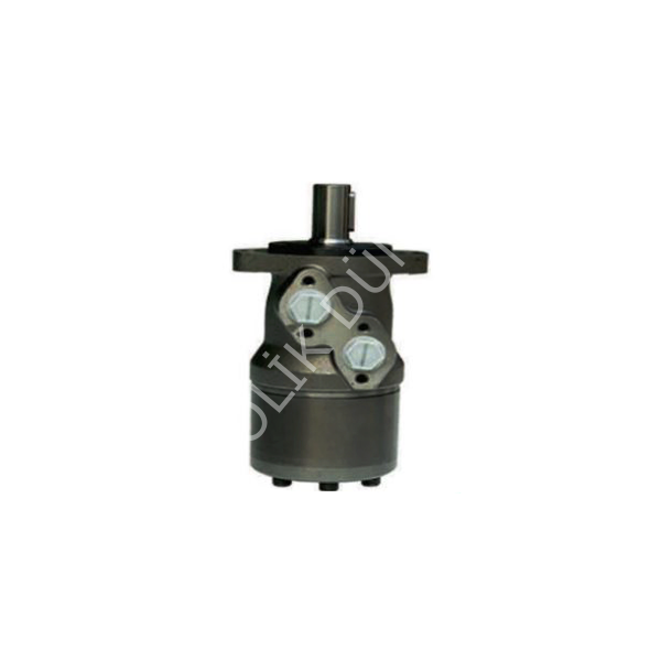 BMR Hidro Motorlar - 25mm Mil Çaplı