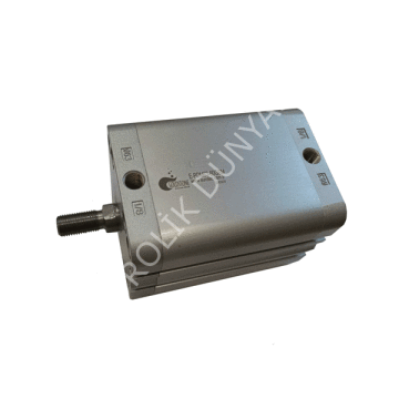 Goldstone Q125 ISO E-PDM Erkek Milli Kompak Silindir