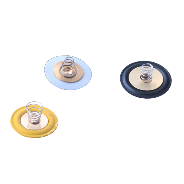 ESV-100/200/300/400/500 Serisi Solenoid Valf Diyafram ve Yayları