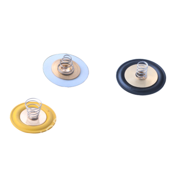 ESV-100/200/300/400/500 Serisi Solenoid Valf Diyafram ve Yayları